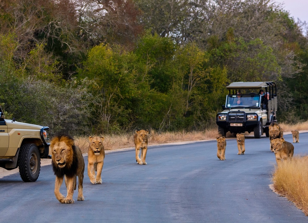 Kruger National Park