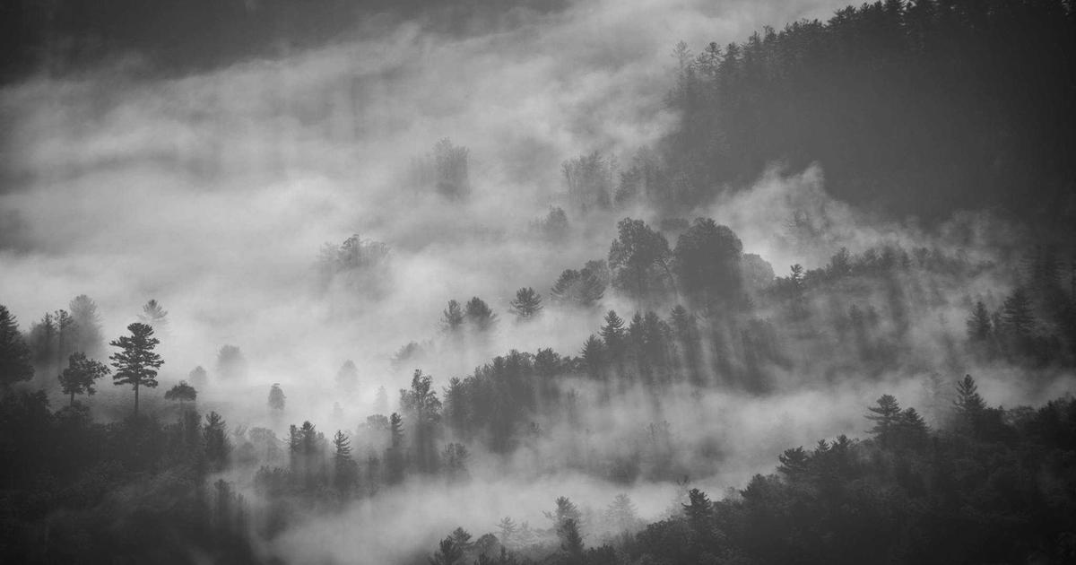 budget airline aircraft at European airport cheap flights