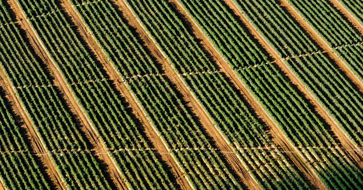 budget airline at secondary European airport for cheap flights