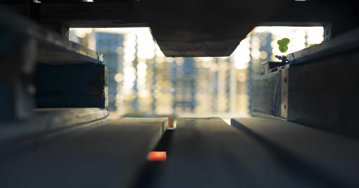 Google Flights and Skyscanner tools for finding secret flight deals